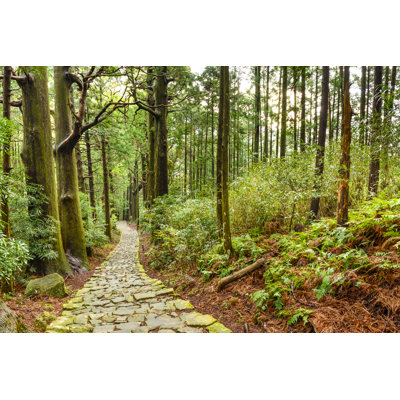 Kumano Kodo - Wrapped Canvas Print