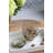 Gertje Glass and Aluminum Decorative Jar 1-579826921