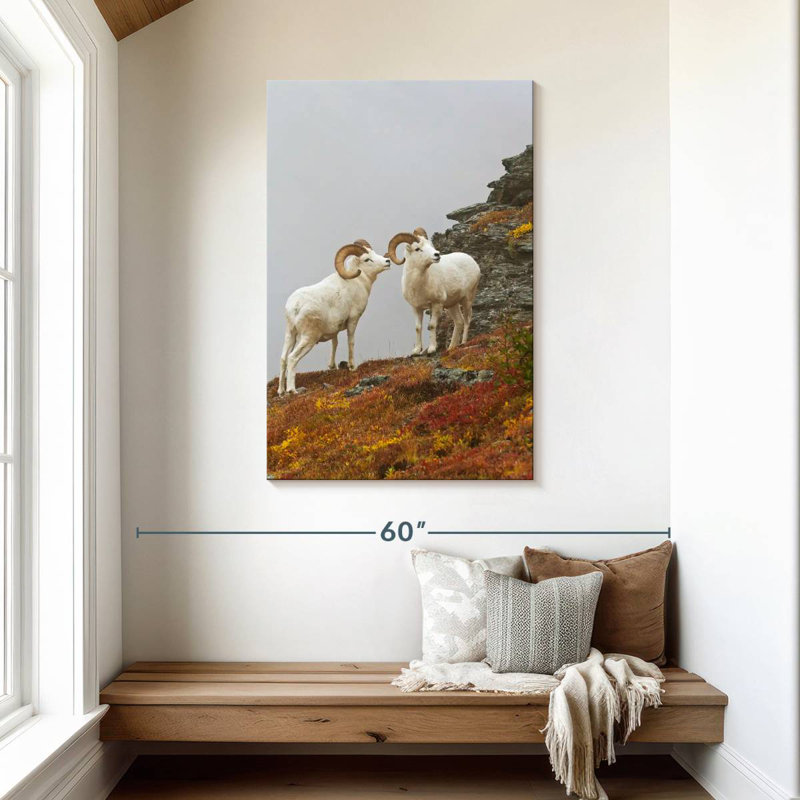Mouflon blanc, H 45 po x l 30 po