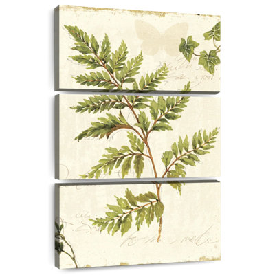 Harnek Ivies and Ferns I No Dragonfly