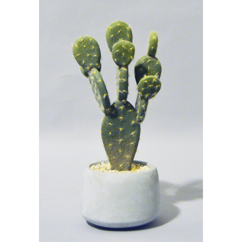PETIT POT À CACTUS PU, 11''