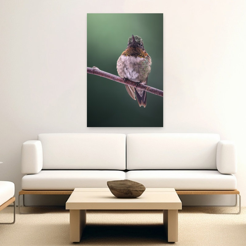 Hummingbird On Branch Delicate Peaceful Serene Hummingbird Bird Forest Nature Wall Art Print by Atul Saluja - Print