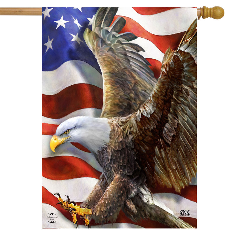 Drapeau de l'American Freedom Eagle House