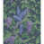 Green/Purple