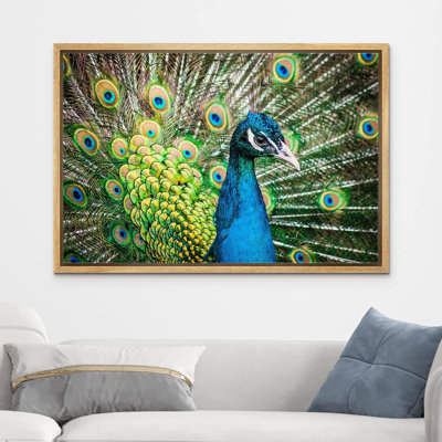 Plumes vibrantes d'oiseaux paon émeraude sur toile