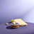 AdHoc Cut N Serve Fine Grater