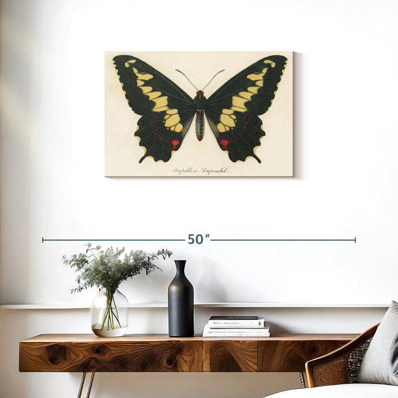 Brampt Natures Butterfly VI, H 20 po x l 30 po