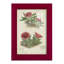 Cactus antique V encadré sur papier-123146886-123146887