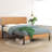 Sarette Metal Platform Bed-1084329467