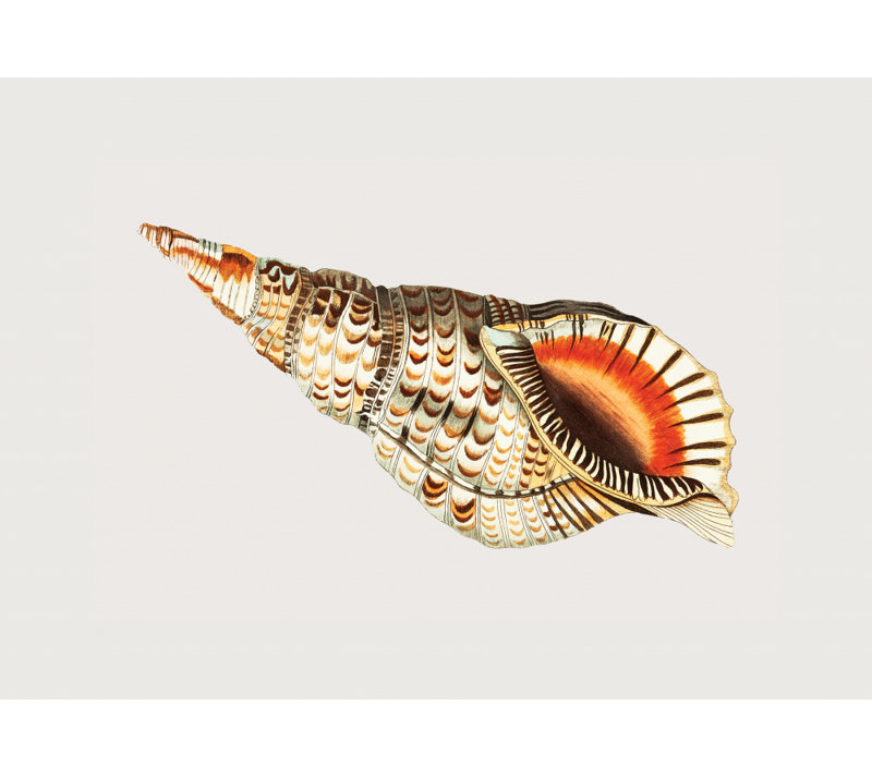 Wrapped Canvas Print, 60.96 cm H x 91.44 cm W