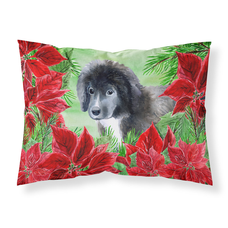Microfiber, Newfoundland Puppy