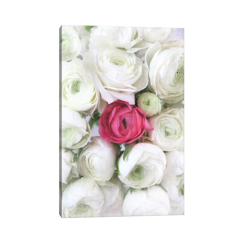 Vintage Ranunculus In White And Hot Pink 1 Piece Wall Art on Canvas