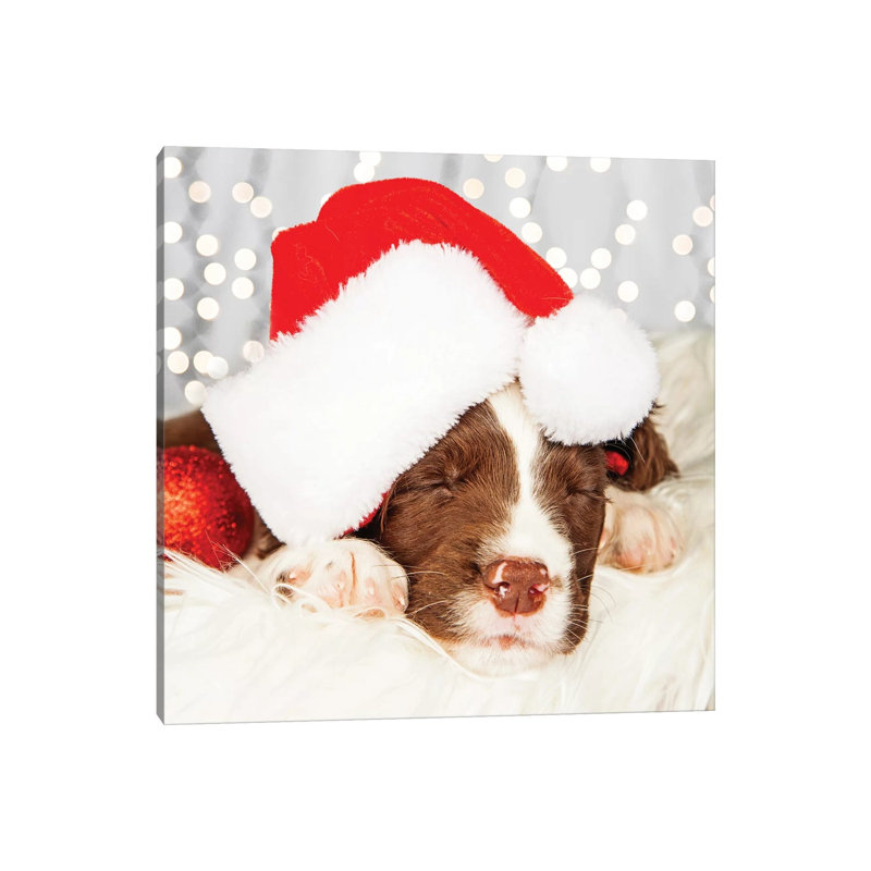 Puppy Wearing Santa Hat While Napping On II by Susan Richey - Gallery-Wrapped Canvas Giclée on Canvas, Canvas