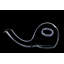 Escargot Decanter