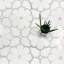 Asian Statuary & White Carrara Polihsed Flora 1 Marble Mosaic