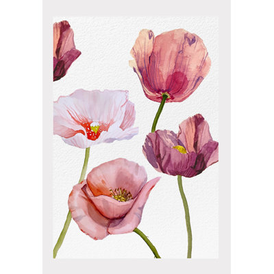 Plants & Flowers