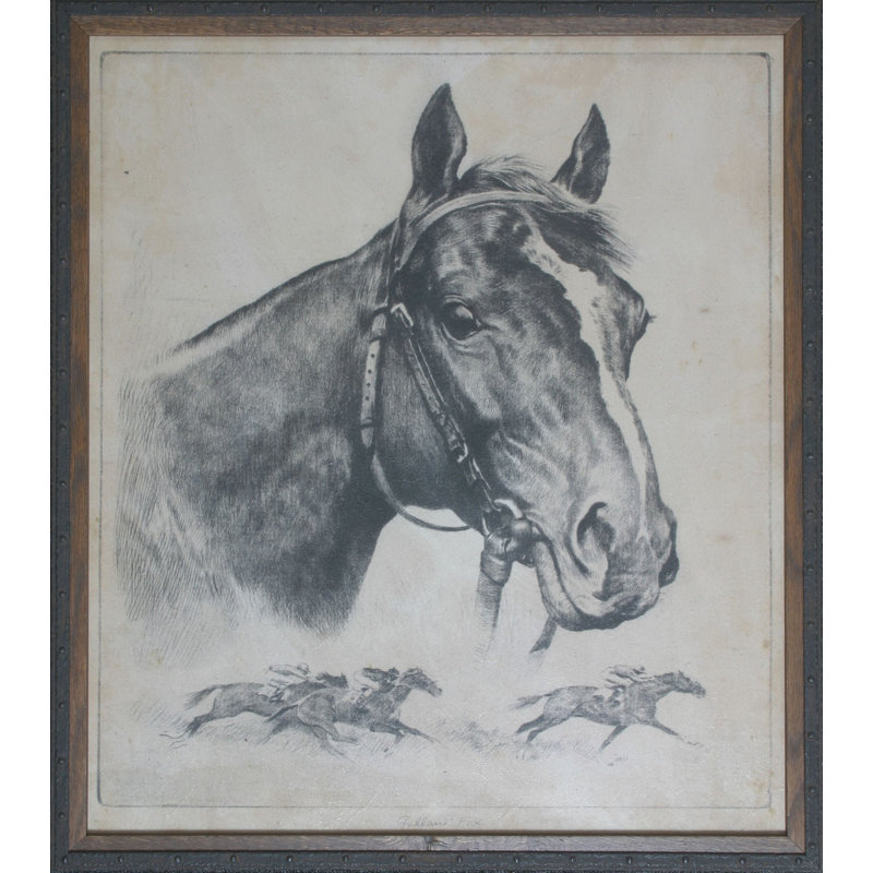 « gallant fox », reproduction d’art sur toile encadrée