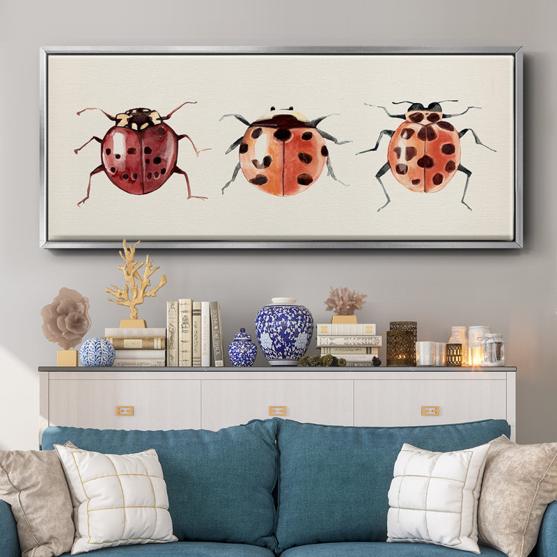 Coccinelle, H 8 po x l 20 po