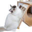 Stonecrest 35'' H Cat Tree-1293015650