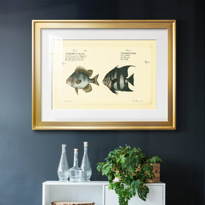 " Bloch Antique Fish II "