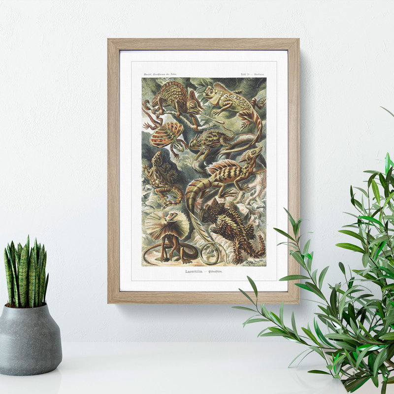 Lizards by Ernst Haeckel - Picture Frame Painting, 65cm H x 48cm W x 2cm D, Oak Framed