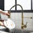 Commercial Black And Gold Kitchen Faucet With Pull Down Sprayer, Single Handle Single Lever Kitchen Sink Faucet-119337434