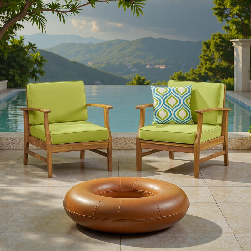 Ensemble de 2 chaises club, Vert, Brun