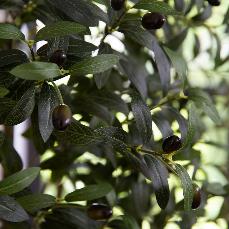 Yost 72 " H Faux Olive Tree in Ceramic Planter