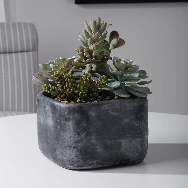 10'' Faux Succulent in Cement Pot