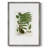 Fern I Framed Print - Solid Wood