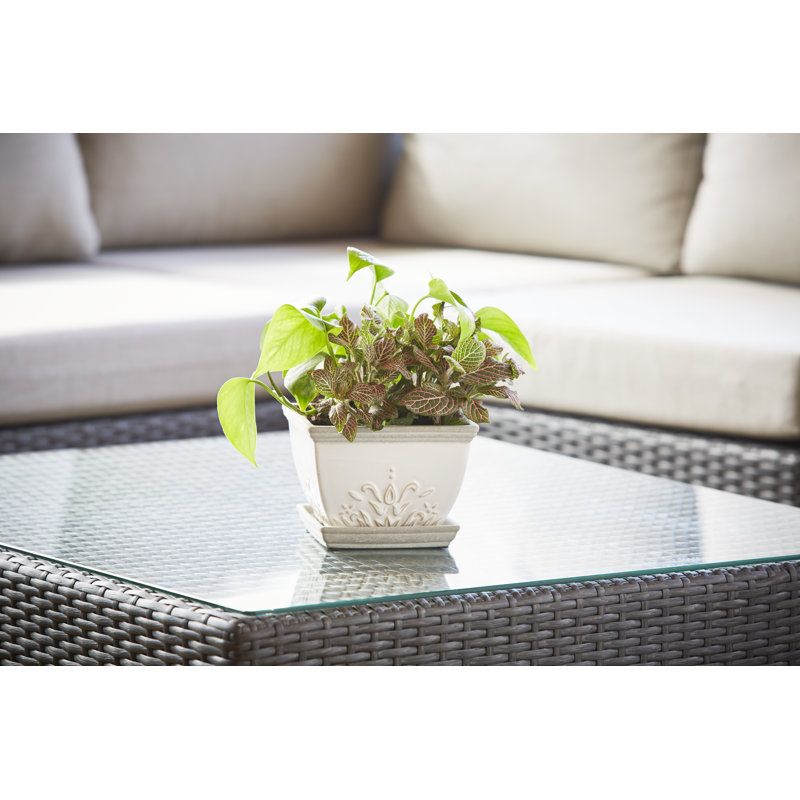 Brentwood White Ceramic Indoor/Outdoor Planters with Saucers, Set of 2
