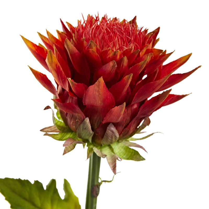 Arrangements de fleurs mélangées, Rouge