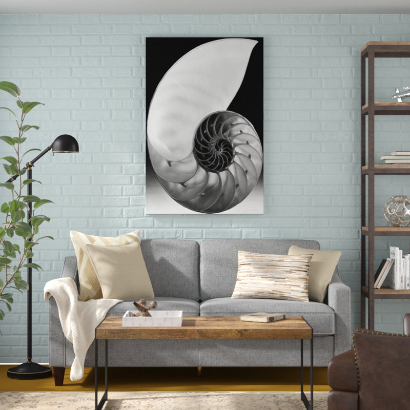 Shell I - Graphic Art Print, 122cm H x 81cm W, Black Floater Framed