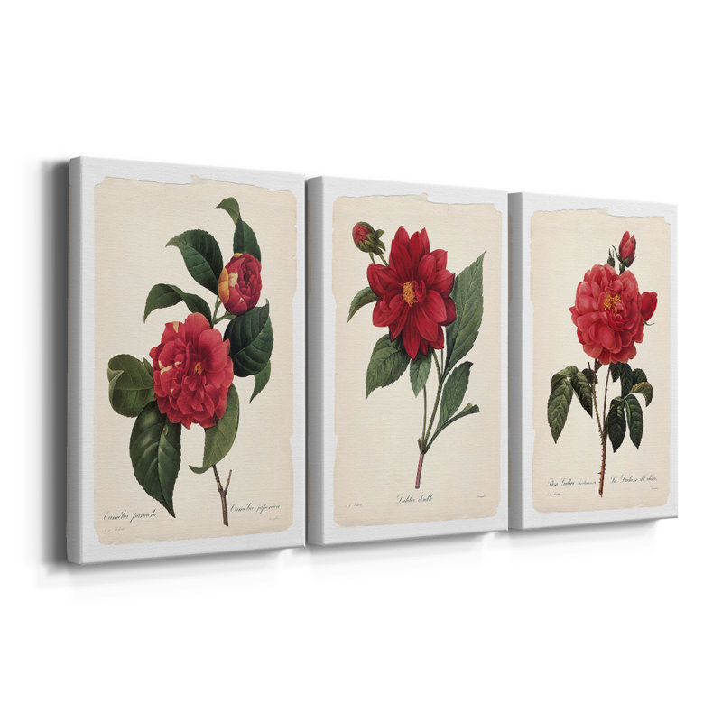 Red Botanical I - Toile tendue avec châssis sur mesure - 3 pièces, H 12 po x l 24 po