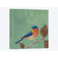 «Resting Bird II» par Mehmet Altug - impression sur toile tendue-32899066-72234454-72234455