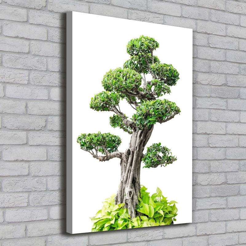 Bonsai Tree - Wrapped Canvas Print