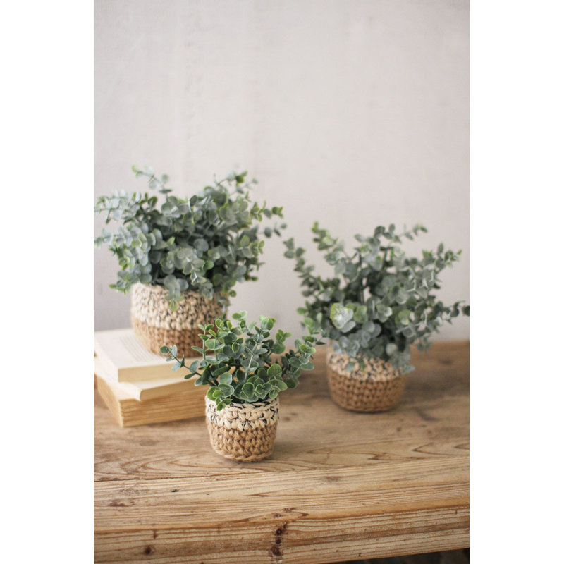 Artificial Eucalyptus Plants in Woven Pots – Decorative Faux Greenery, Set of Three