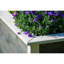 Aalanah Wood Raised Garden Bed