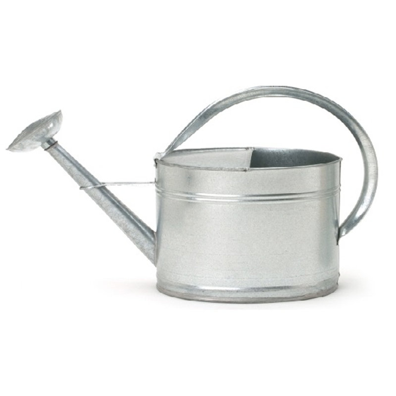 Arrosoir ovale en acier galvanisé émaillé 2,5 gallons, Argent argent
