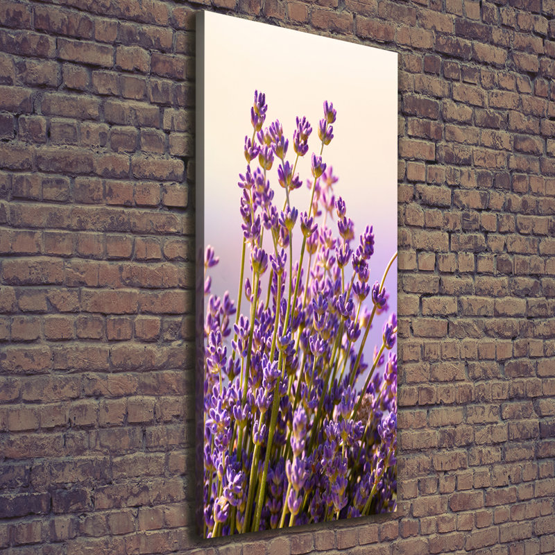 Lavender - Wrapped Canvas Print