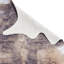 Animal Print Digitally Printed 195cm X 240cm Area Rug