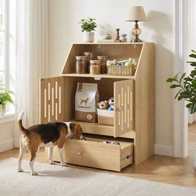 Dog Feeding Station