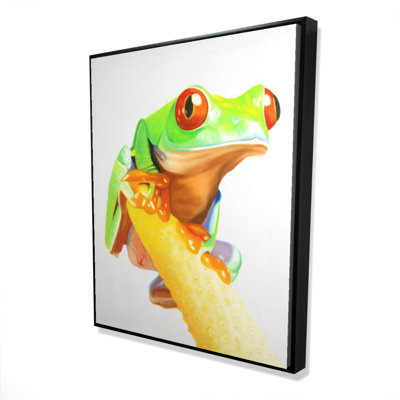 «Curious Red Eyed Frog», reproduction sur toile