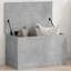 Savier Accent Trunk-393334432