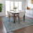 Fresnel Flatweave Washable Oriental Indoor / Outdoor Rug-1014136003
