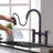 Aleasha Pull Out Kitchen Faucet-88605573