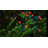 Pham Globe Electric String Lights-826335212