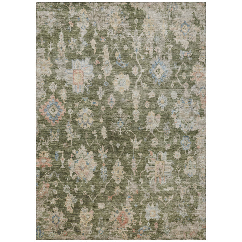 Machine Washable Indoor/Outdoor Chantille ACN2355 Traditional Rug, Rectangle 2'6" x 3'10"