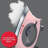 Singer SteamCraft Steam Iron (Pink/Gray)