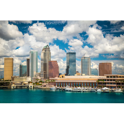 " Skyline Of Tampa Florida "